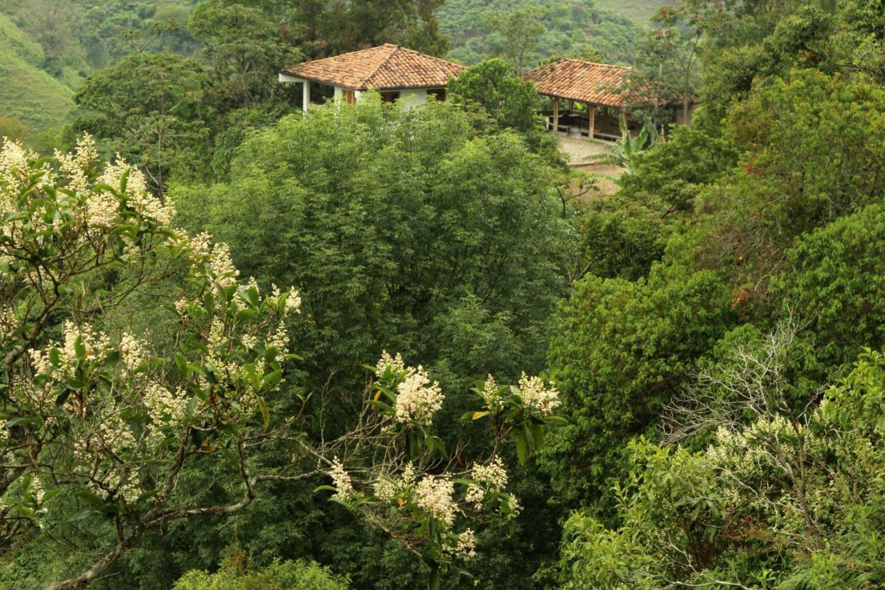 Eco Hotel El Columpio Salento Eksteriør bilde