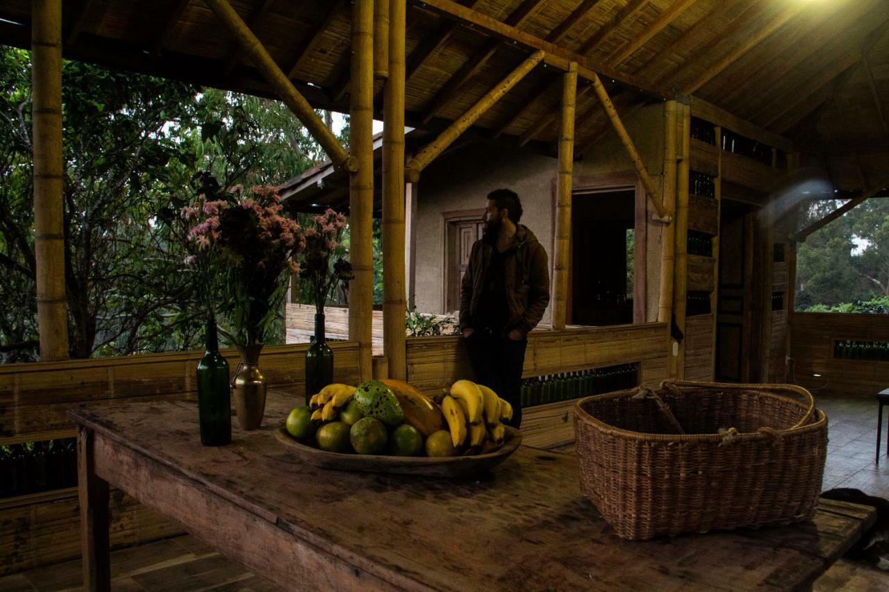 Eco Hotel El Columpio Salento Eksteriør bilde